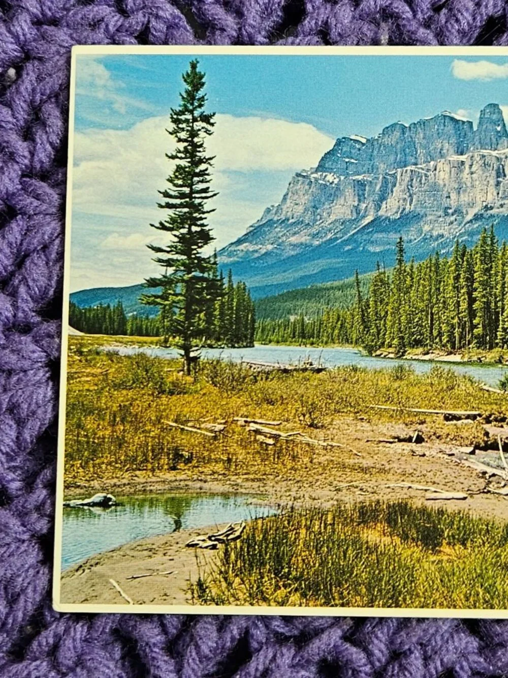 Canadian Rockies Mount Eisenhower Postcard